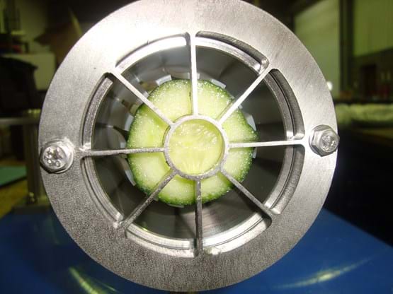 Cucumber blade detail